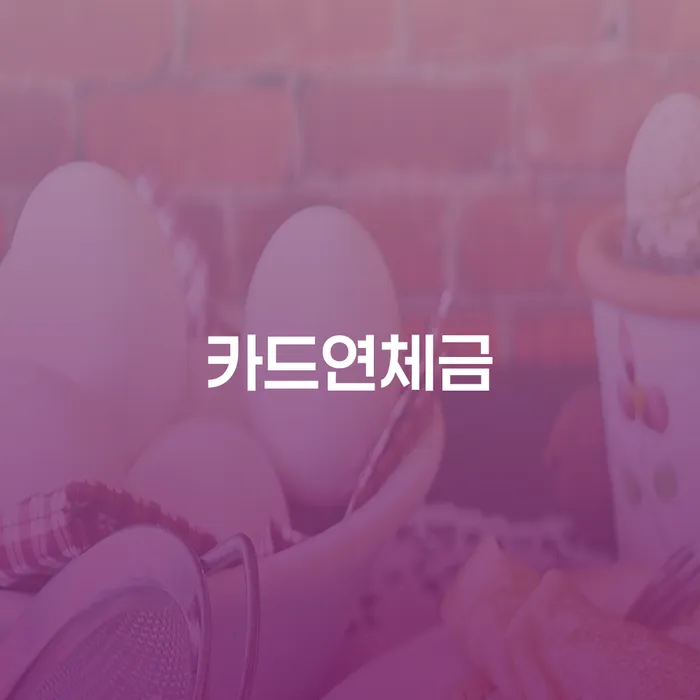 신용회복위원회개인회생 개인회생으로 해결 있어도