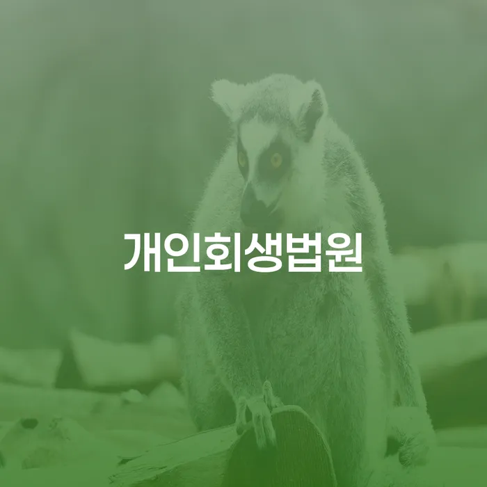 구상권 개인회생으로 해결 유선상담
