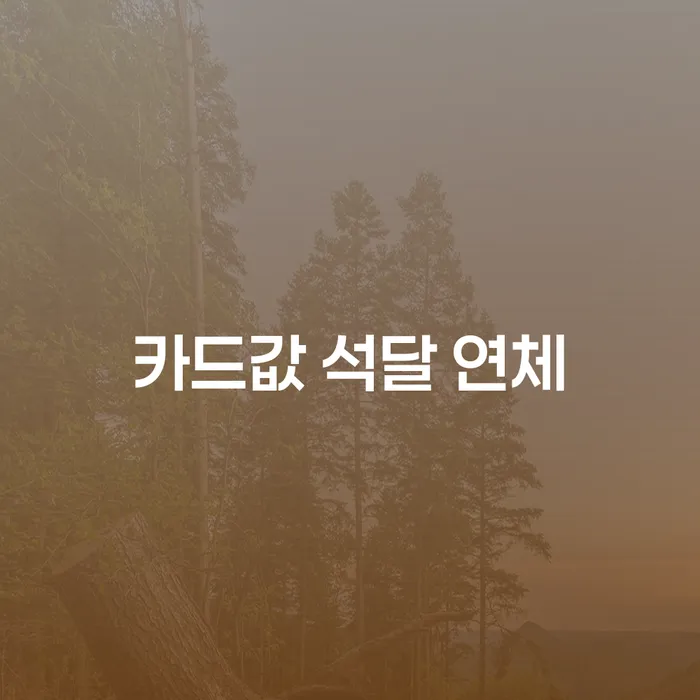 개인회생방법 대출 연체 개인회생 전화상담
