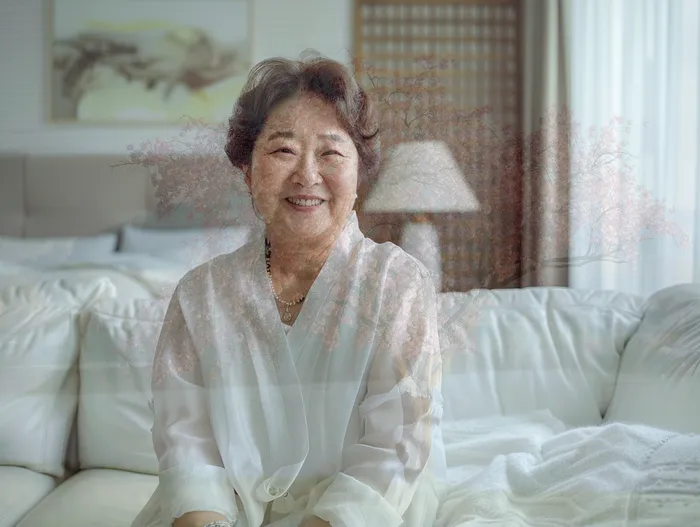 개인회생부채증명서