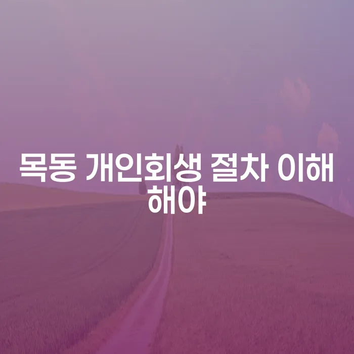 목동 개인회생 절차 이해해야