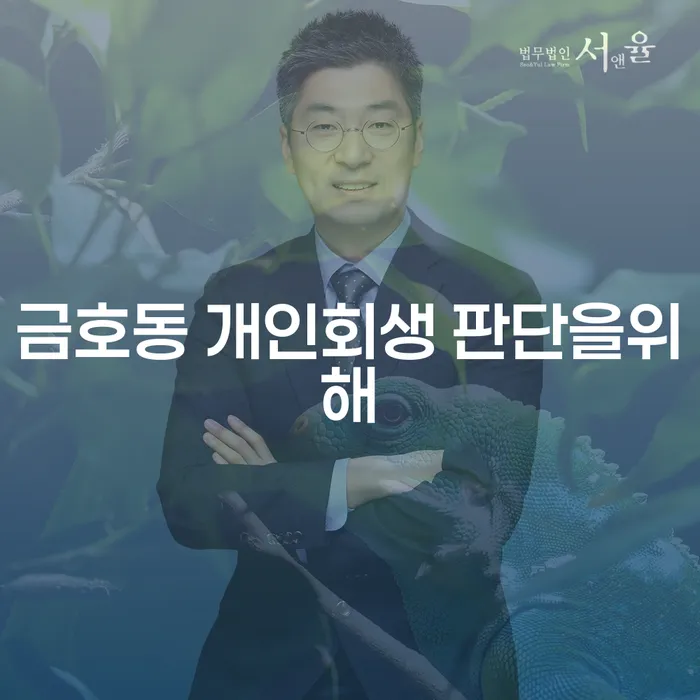 금호동 개인회생 판단을위해