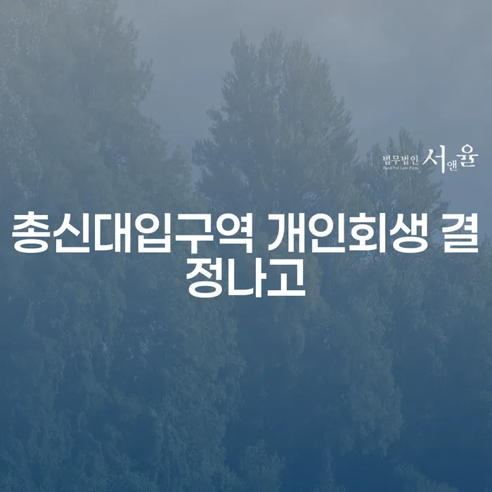 총신대입구역 개인회생 결정나고
