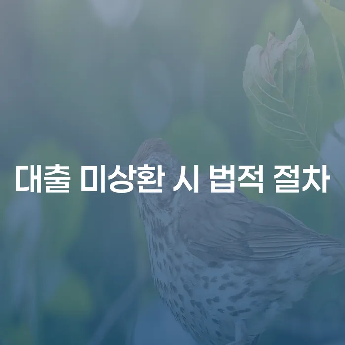 대출 미상환 시 법적 절차는 어떻게 진행될까요?