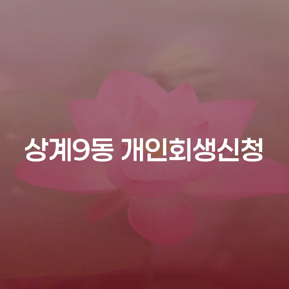 서울시 노원구 상계9동 개인회생 신청 가이드