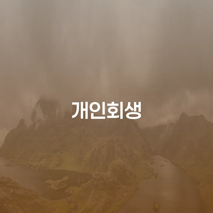 항동 개인회생을 통한 경제적 회복