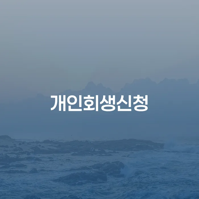 노량진1동 개인회생 신청 절차 및 사례 분석