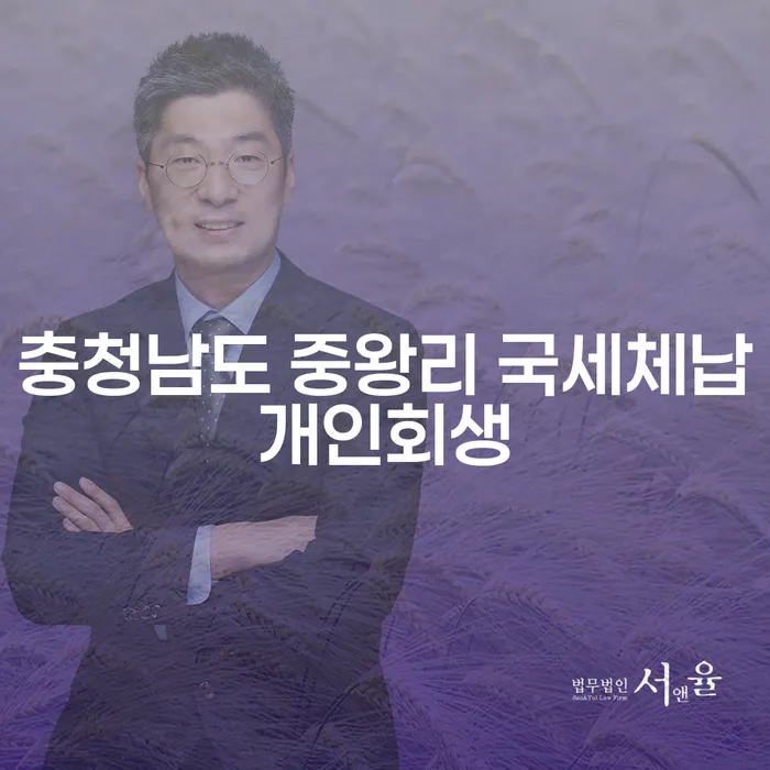 충청남도 중왕리에서 국세체납으로 인한 개인회생이 필요한 이유는 무엇일까요?