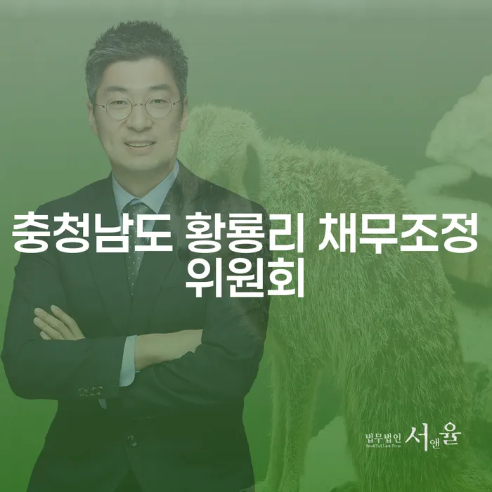 충청남도 황룡리에서 채무 조정이 필요할 때, 해결할 방법은?