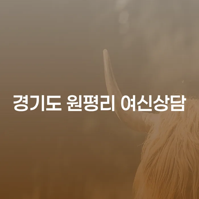 경기도 원평리 여신상담, 집담보대출개인회생으로 재기의 발판을 마련할 수 있을까요?
