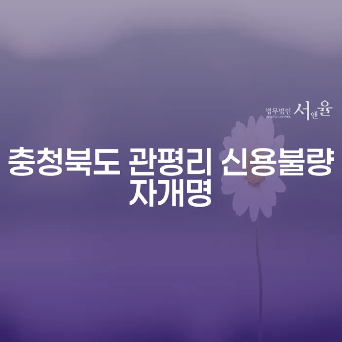 충청북도 관평리 신용불량자개명, 카드값연체 해결 방법은?