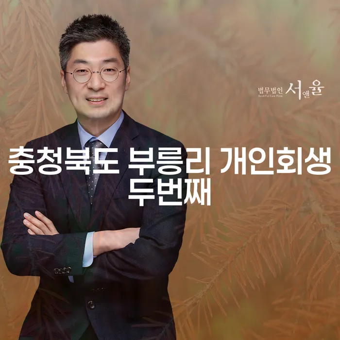 충청북도 부릉리 개인회생두번째: 급여 300만원으로도 가능한가요?