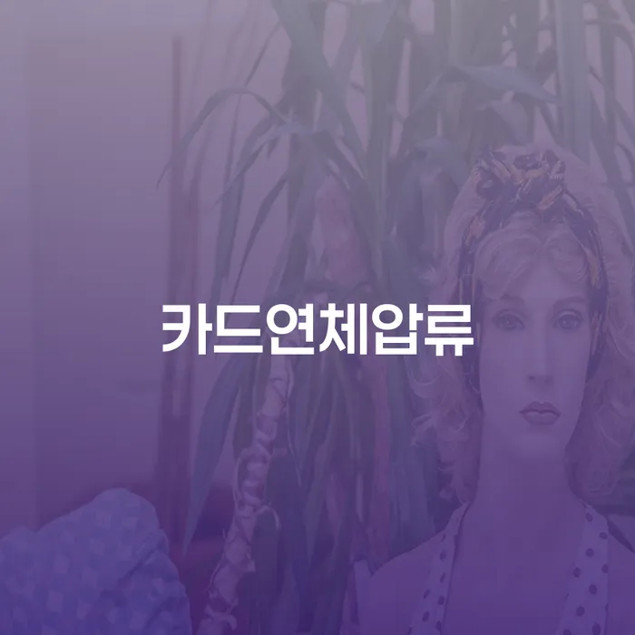 카드연체압류 문제, 어떻게 해결할 수 있을까요?