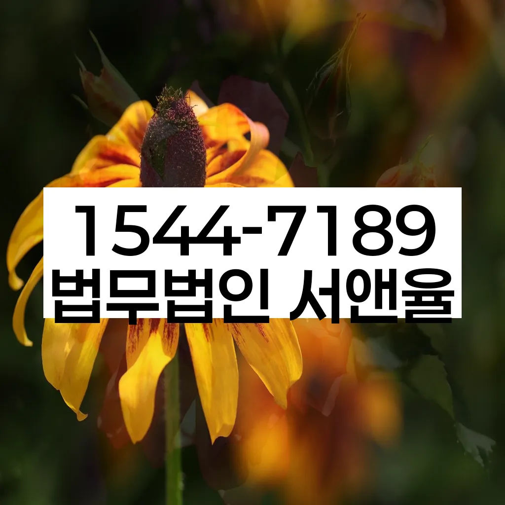 개인회생 성공 사례 이미지